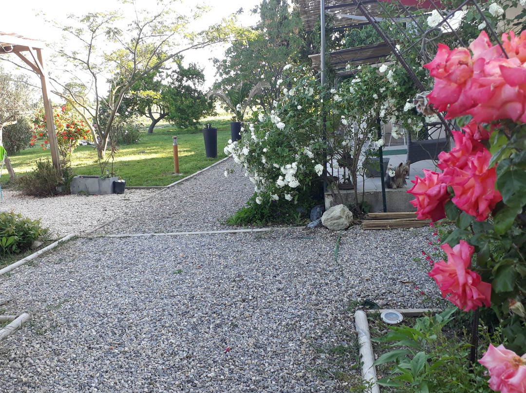 Capestang酒店住宿-Aux Roses de l'Etang