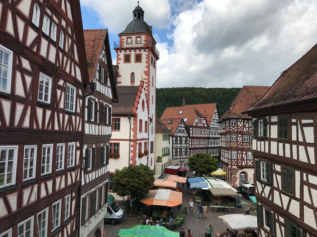 Hotel Schwanen主图