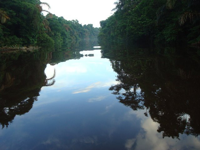 Anhinga Tours景点图片