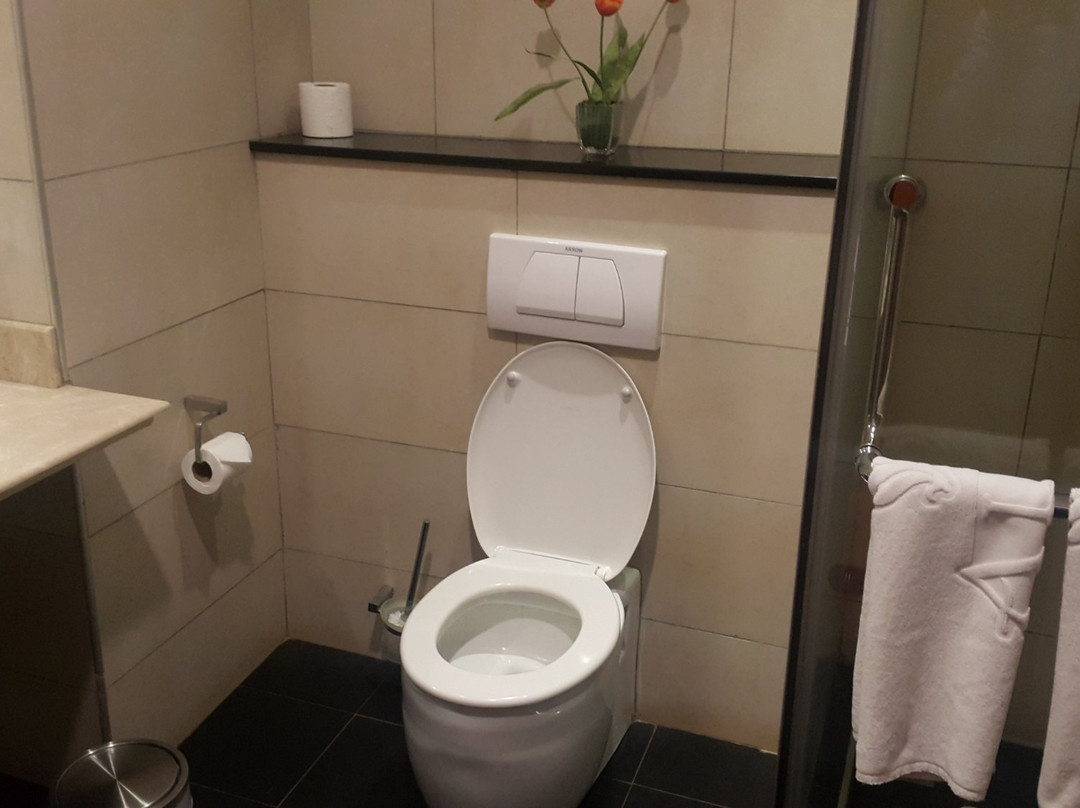 Alba Hotel Meru主图