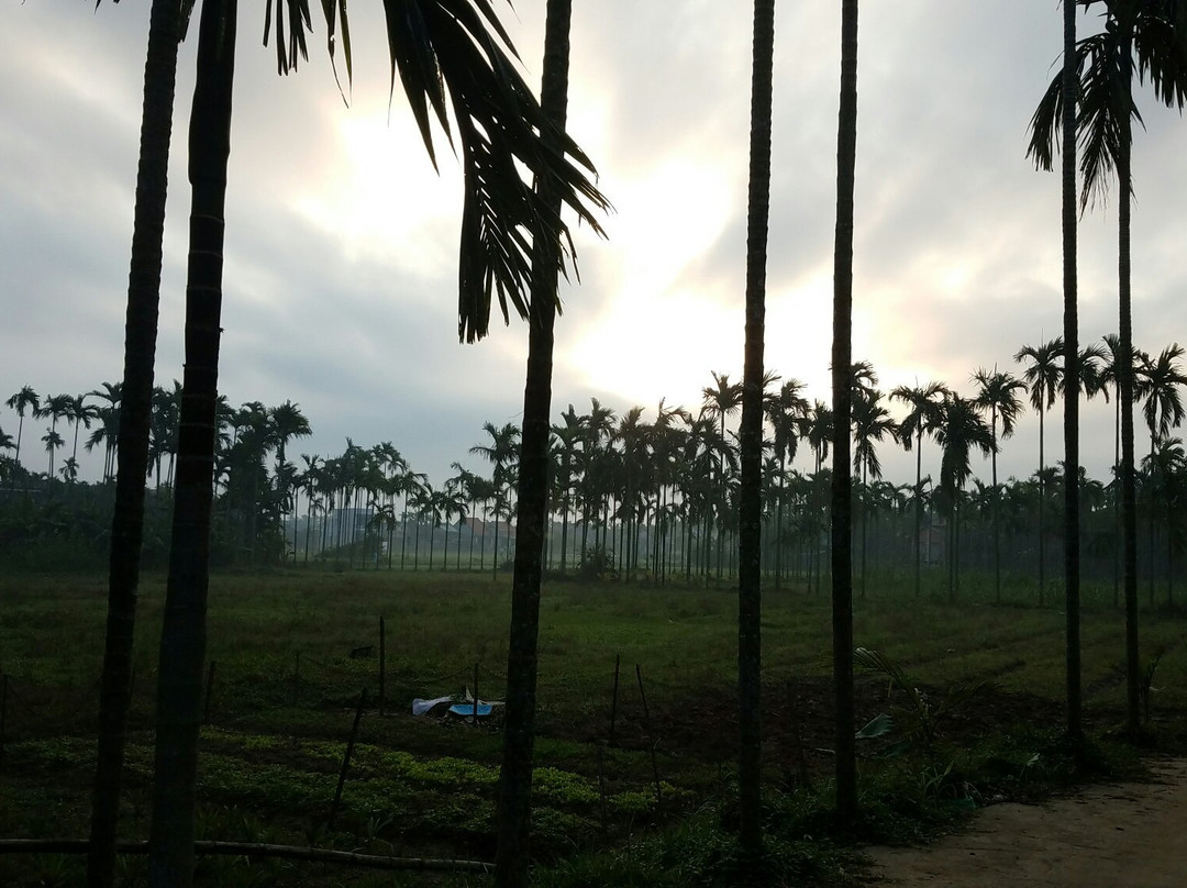 Path Biker-会安必去景点