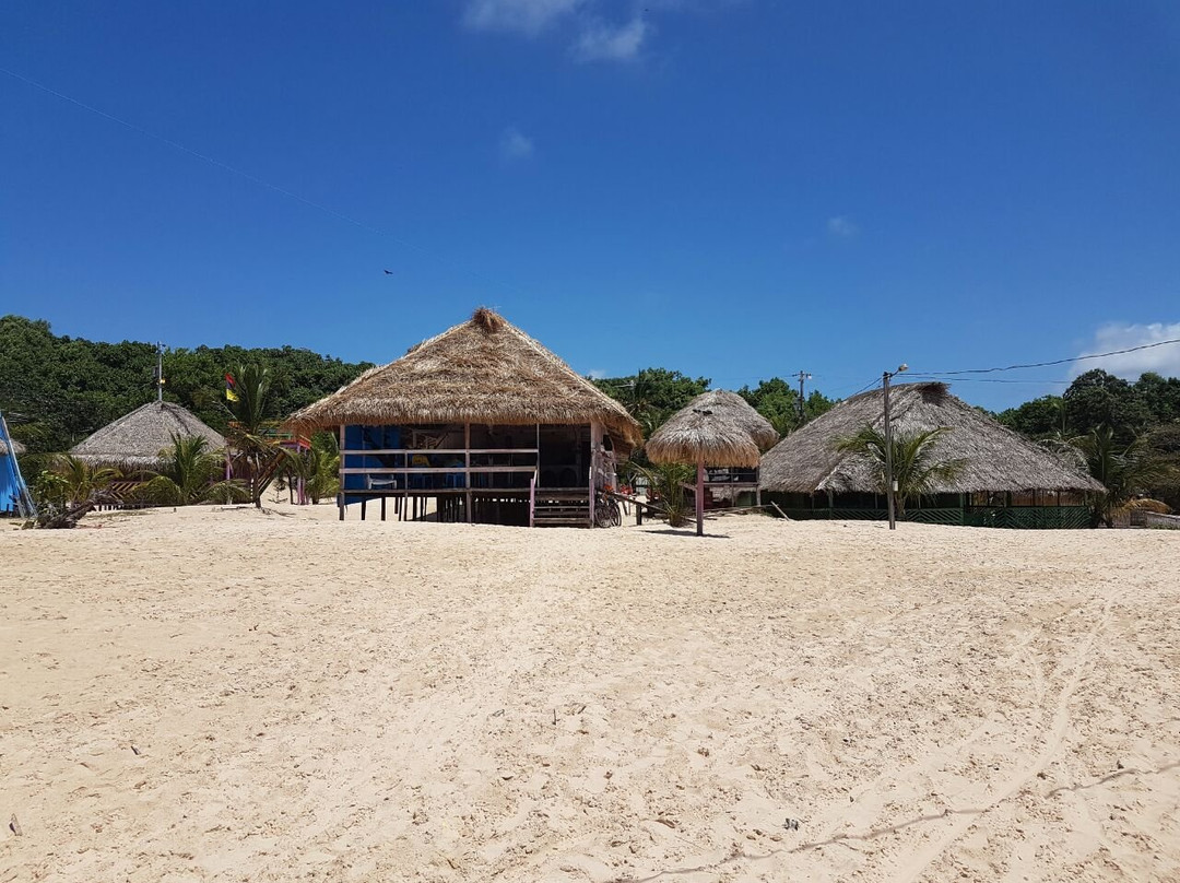 UTRAN Unidade de Turismo Rural Acai Nativo-Salvaterra必去景点