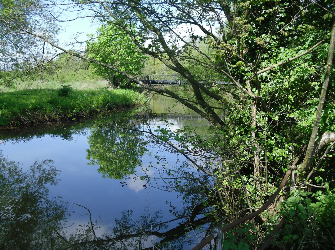 French Weir Park景点图片