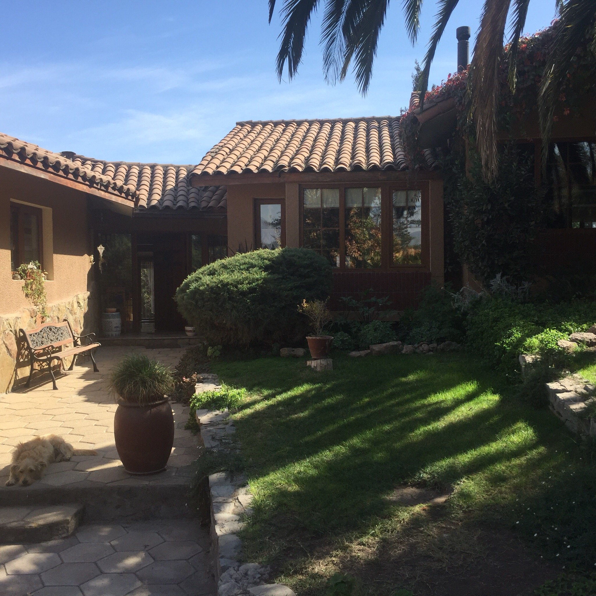 B&B Chicureo-官方
