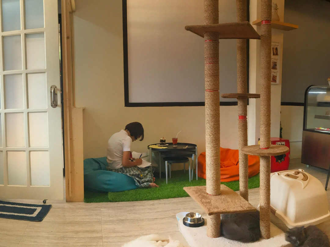 Meeyaw Cat Cafe-Kabacan必去景点