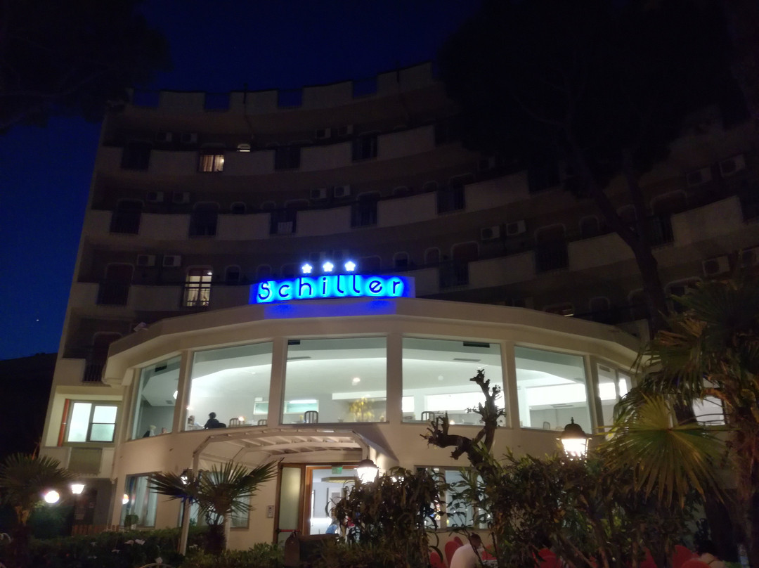 Hotel Schiller主图