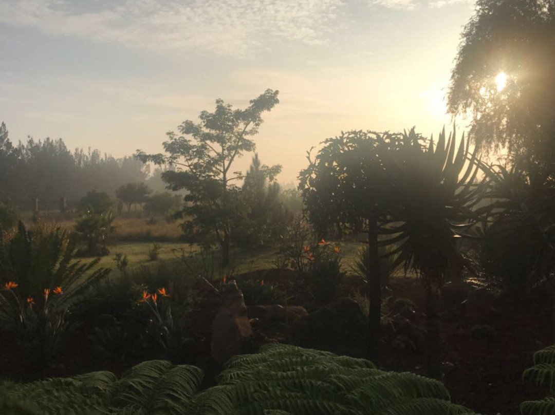 White Linen Guesthouse主图