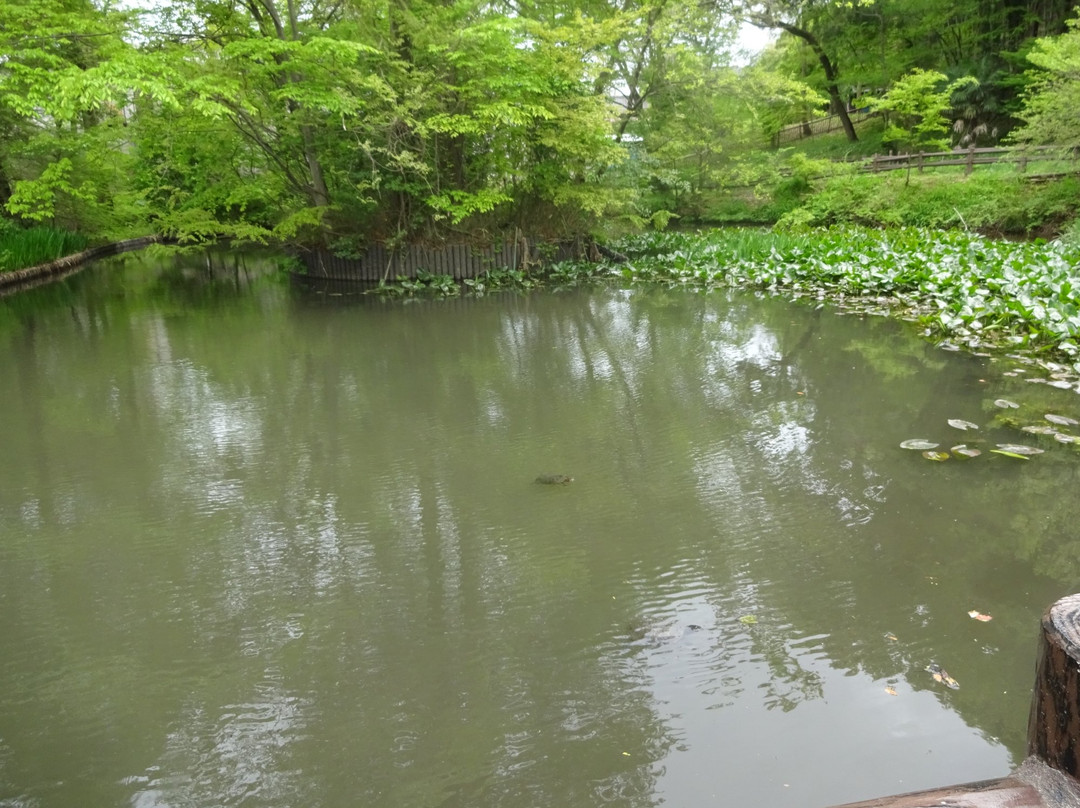 Katakurajoseki Park-八王子市必去景点