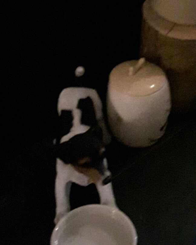 The Castle Inn主图