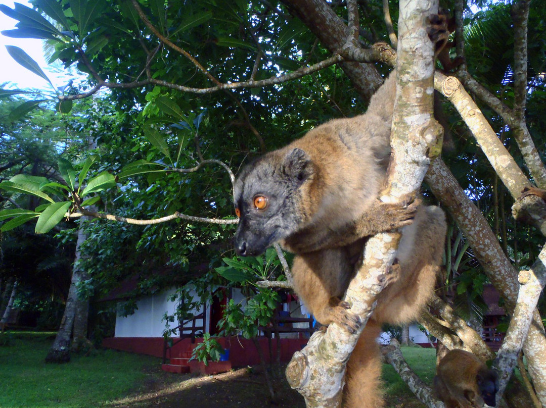 Le Jardin Maore主图