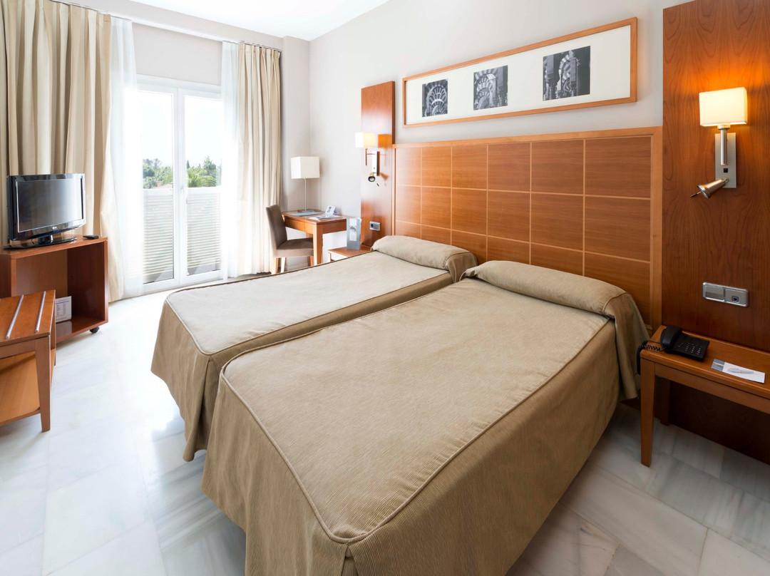 欧洲之星阿德尔法斯酒店主图