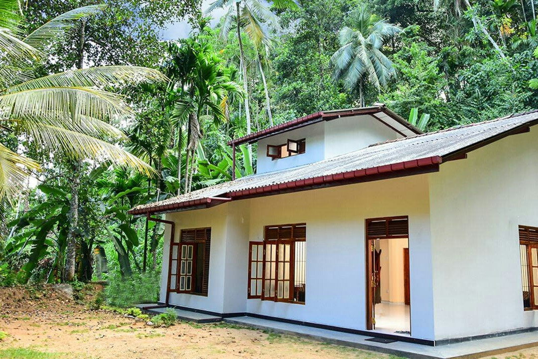 Jungle Village Homestay主图