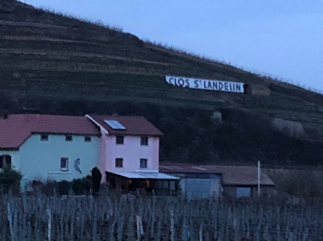 Domaine du Clos Saint Landelin  Véronique & Thomas Muré-Rouffach必去景点