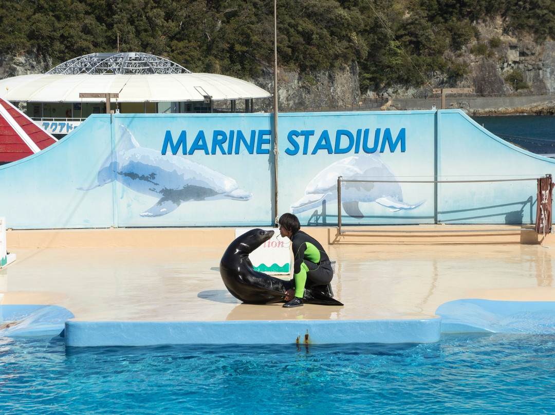 Shimoda Aquarium景点图片