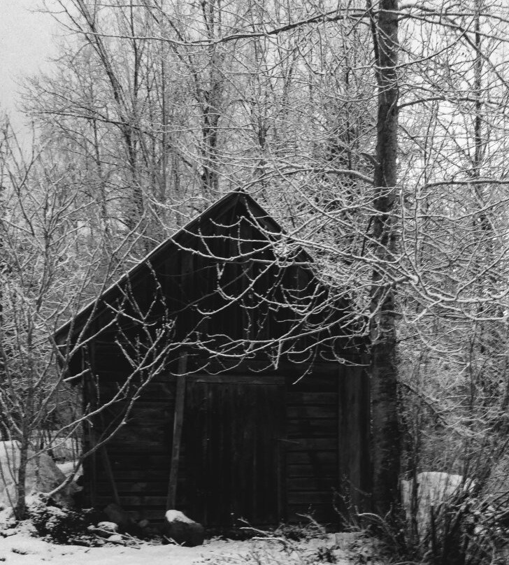 Bieri's Paradise Guest Farm主图