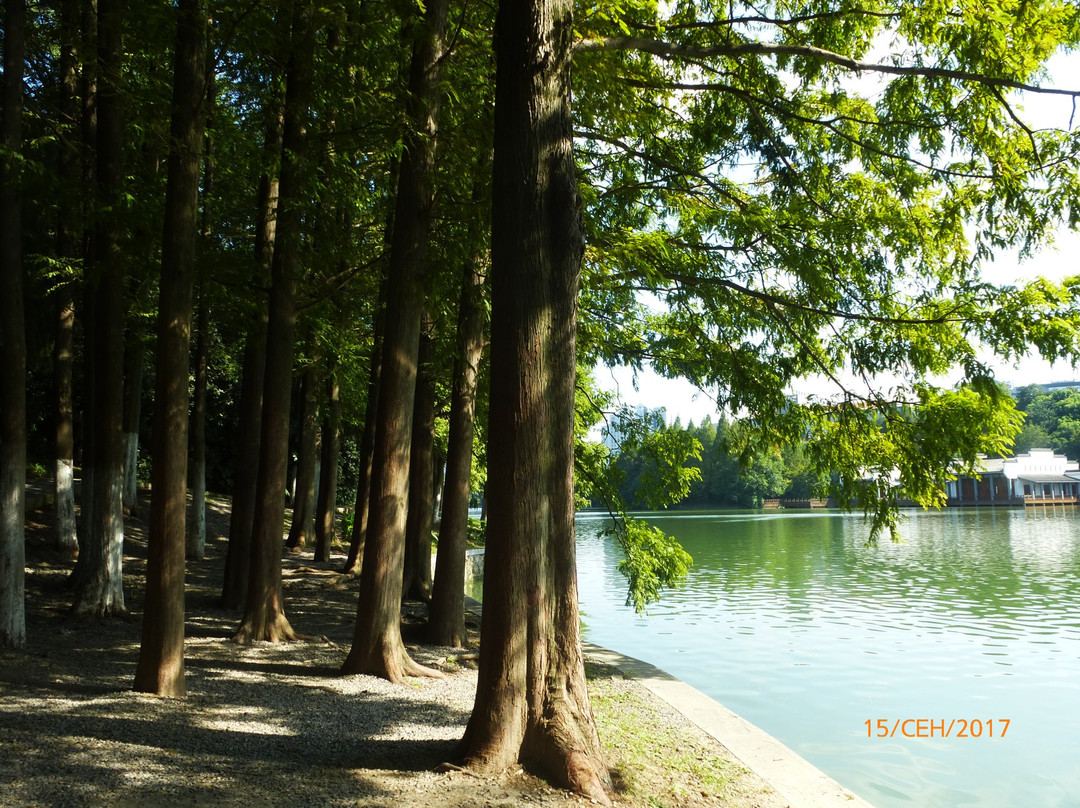 合肥环城公园-合肥市必去景点