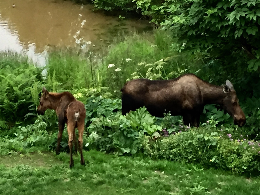 A Stellar View主图