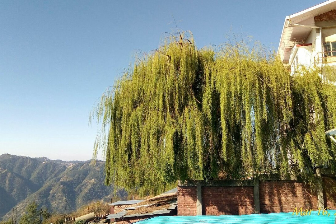 Sidhora旅游攻略图片