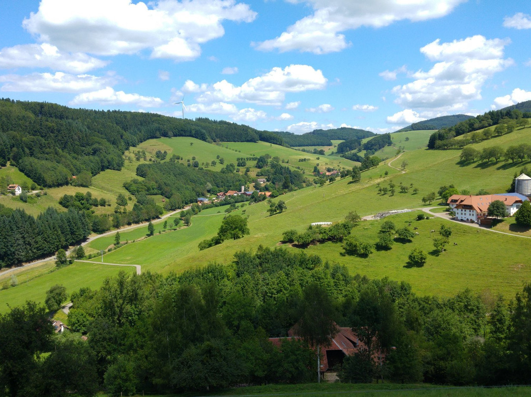 Freiamt旅游攻略图片