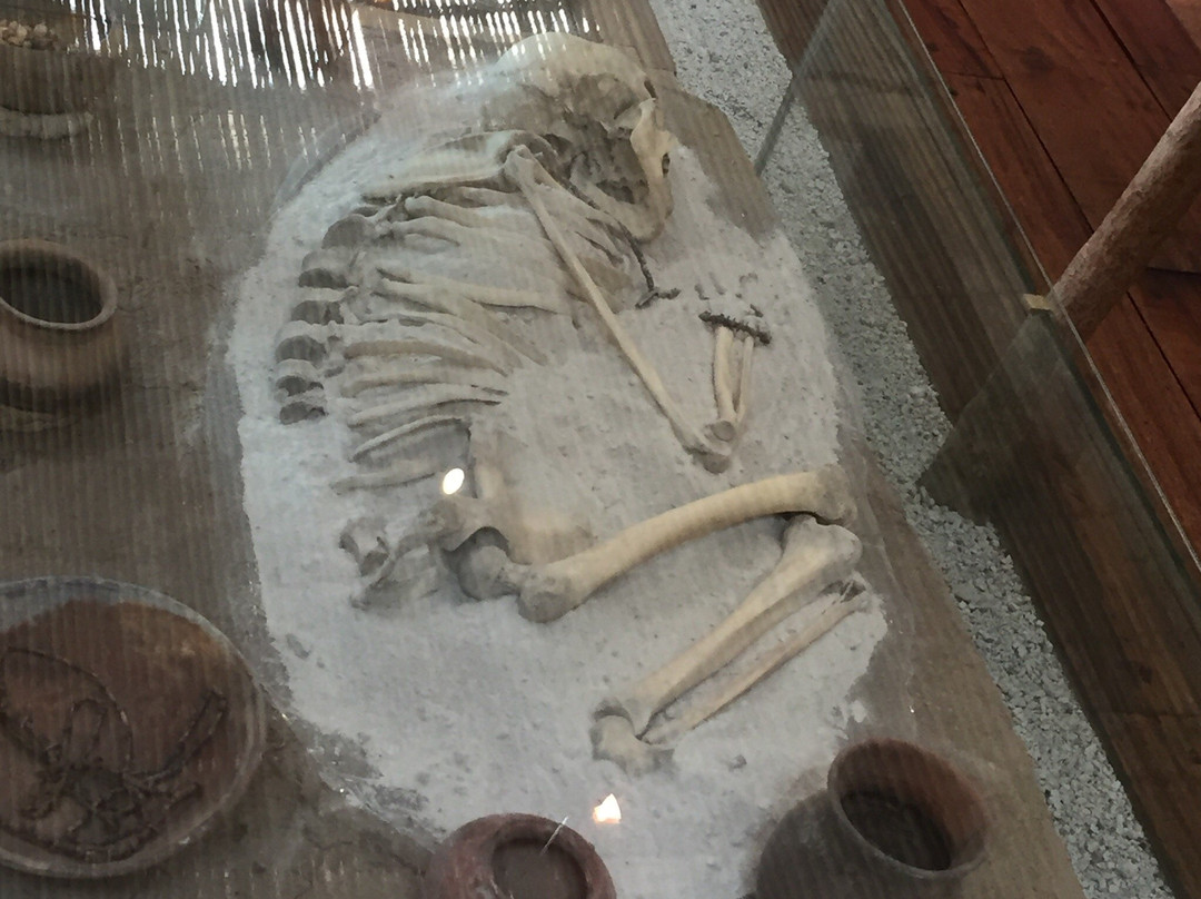 Parque Arqueologico Cochasqui景点图片