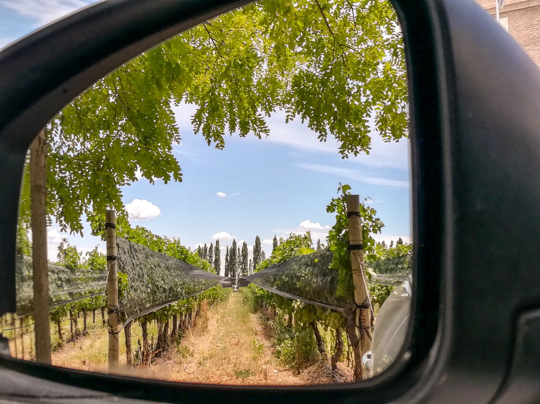 Mendoza Wine Transfers-门多萨必去景点