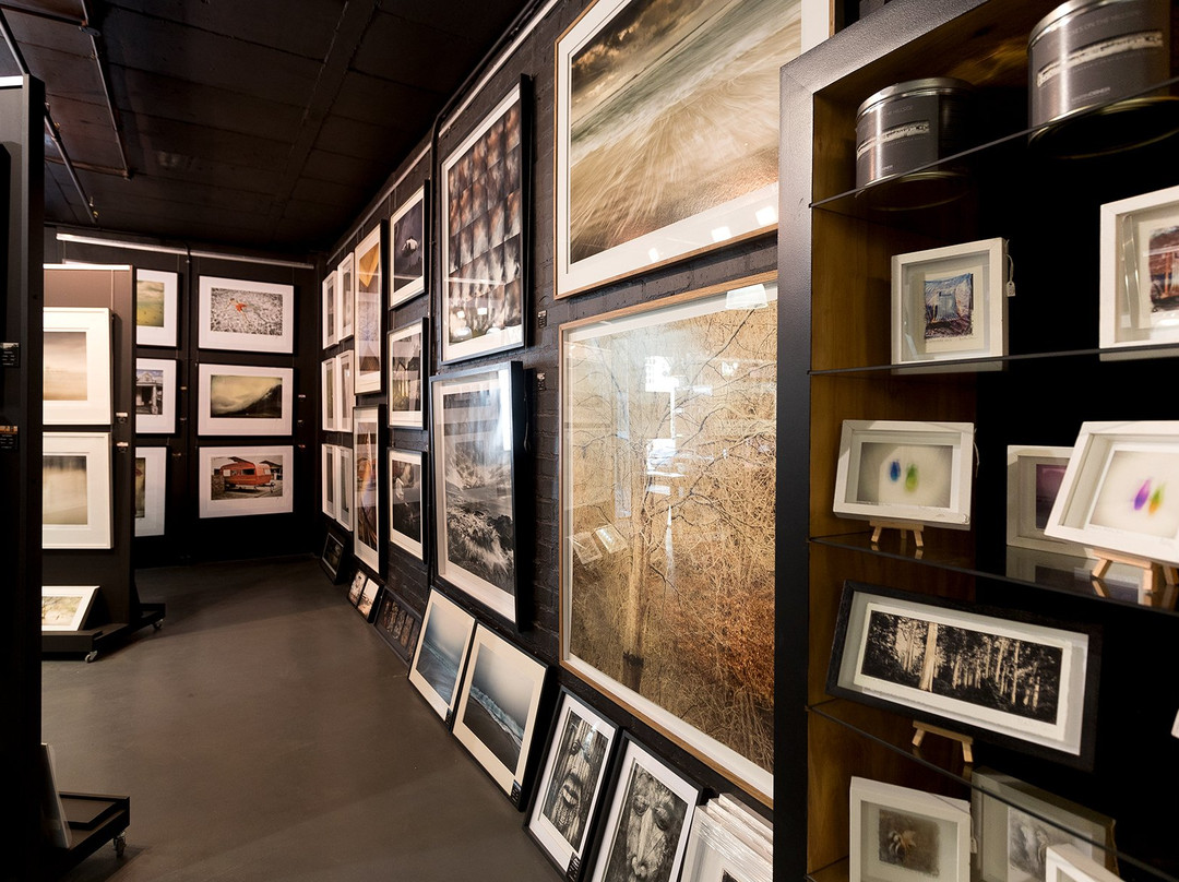 Osner Art Gallery-Green Point必去景点