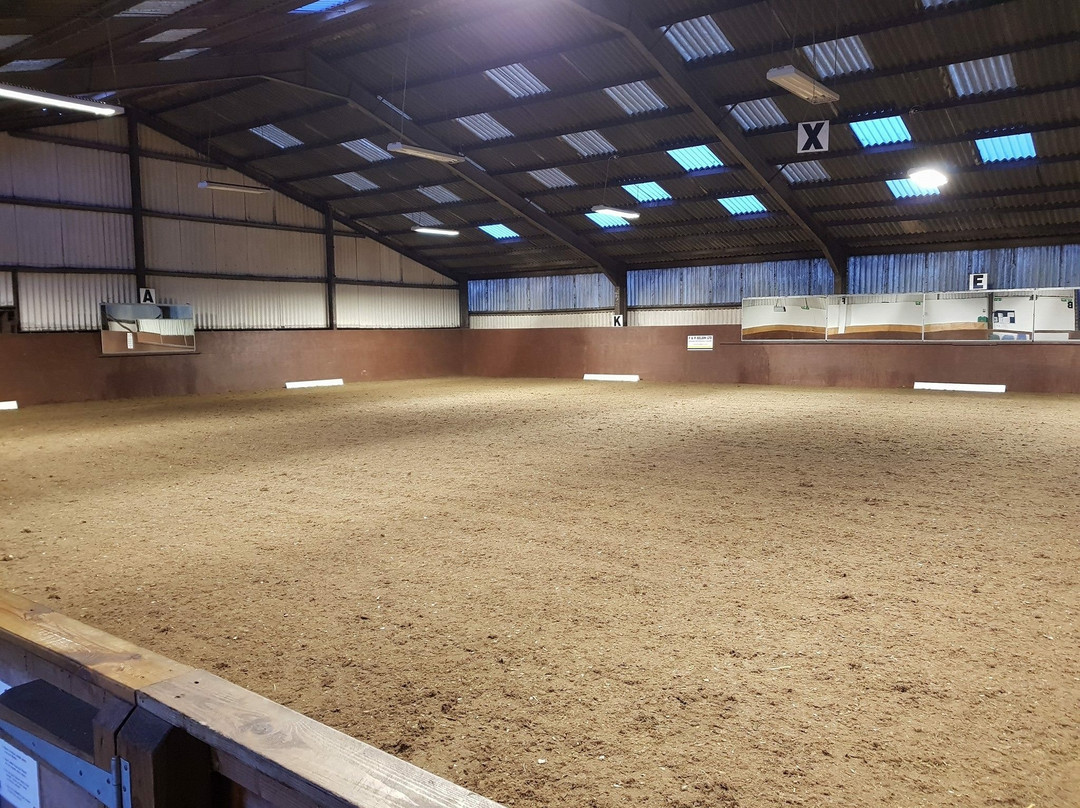 Murton Equestrian Centre-纽卡斯尔必去景点