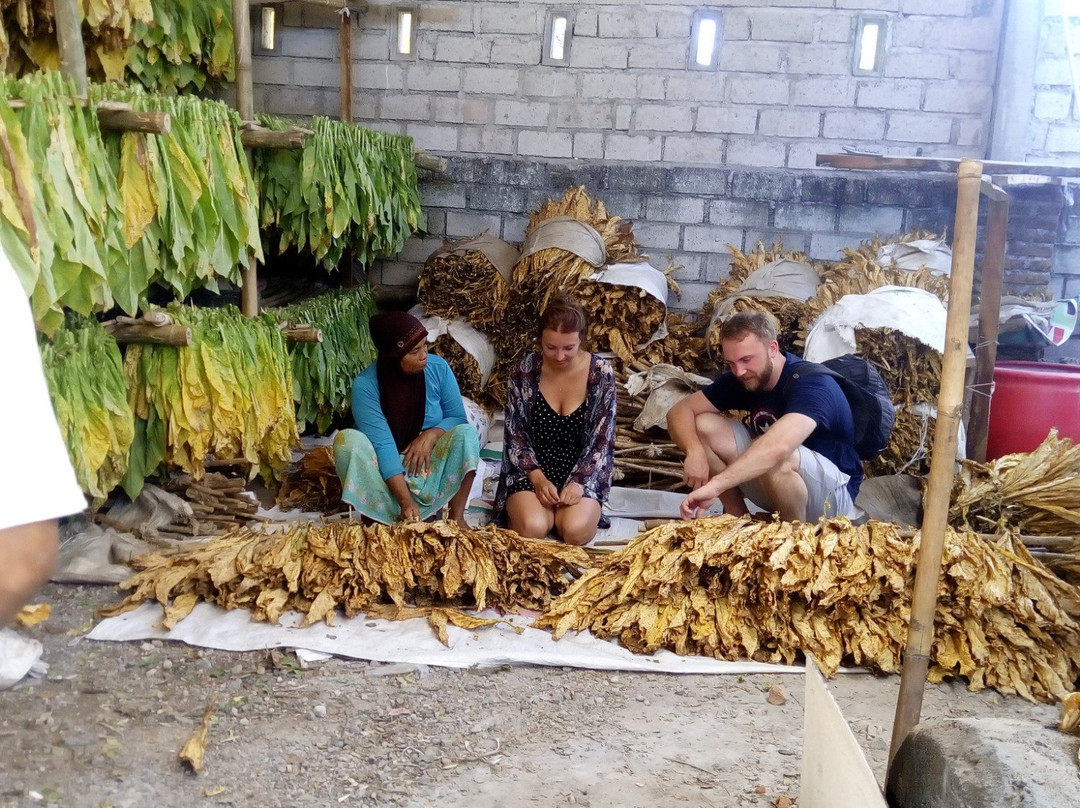 Lombok Rise - Day Tours-Senggigi必去景点