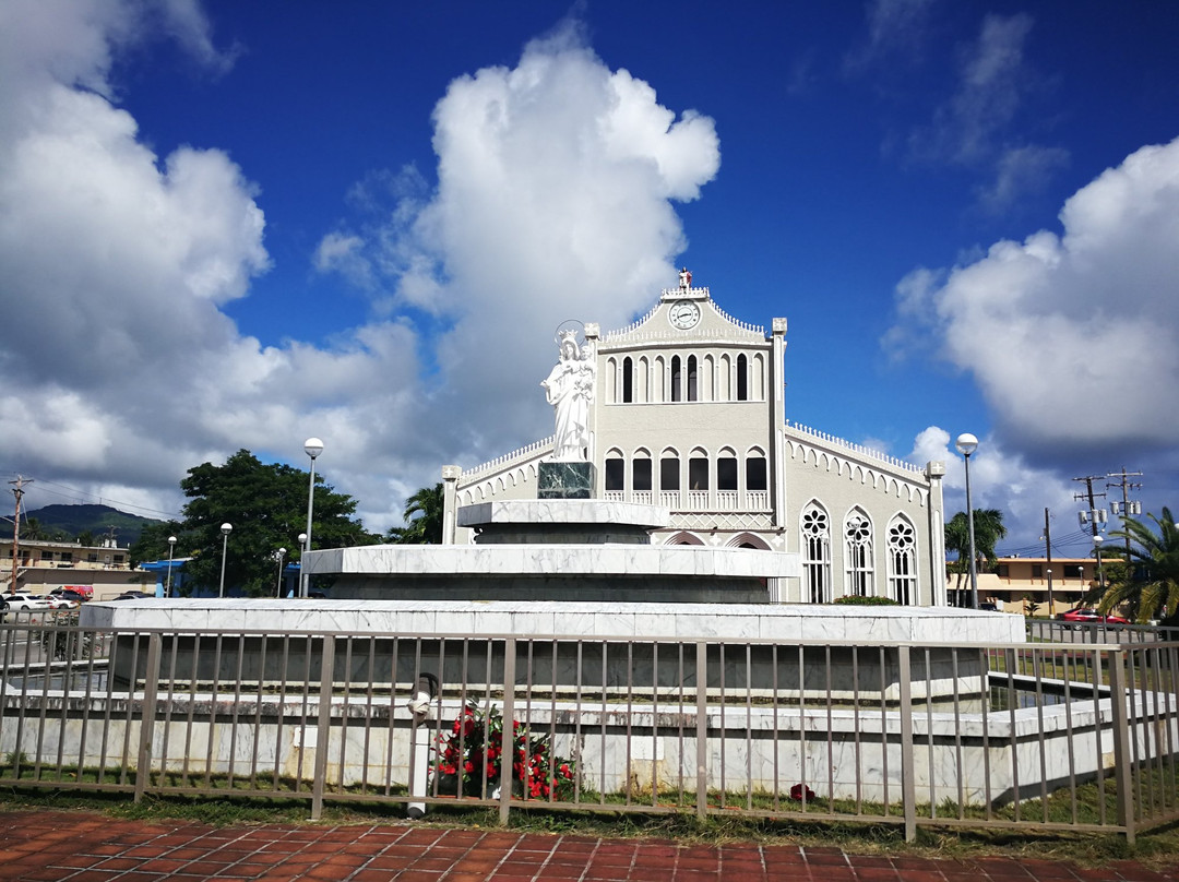 Mount Carmel Cathedral景点图片