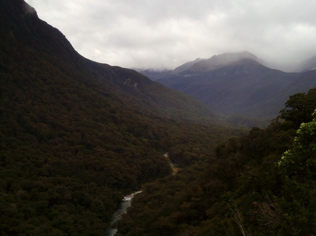 Pops View Look Out景点图片