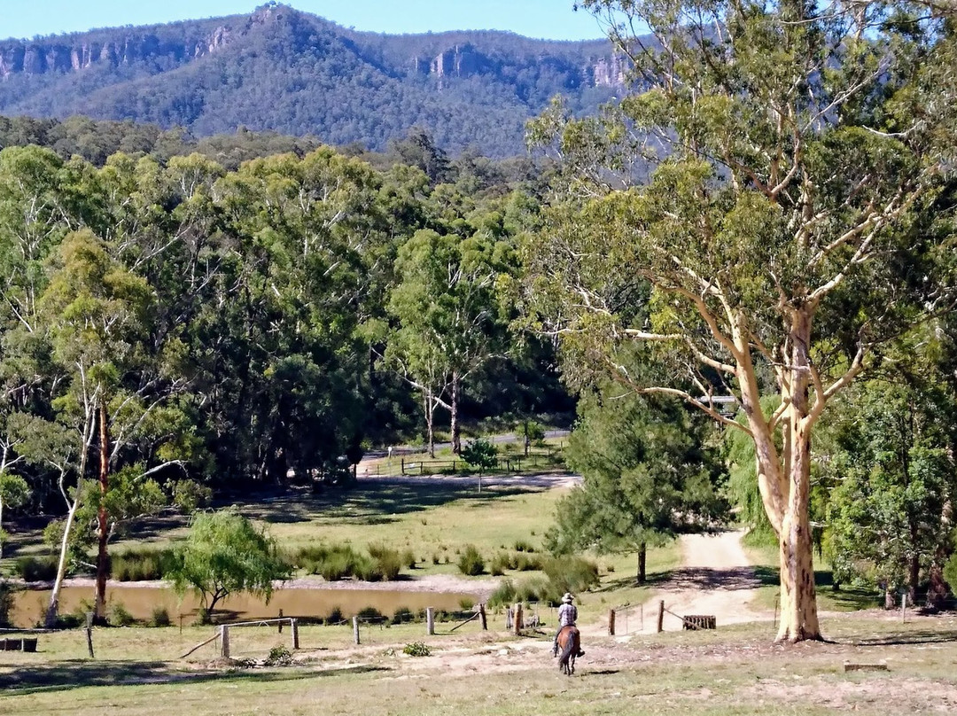 Megalong Valley Farm-Megalong Valley必去景点