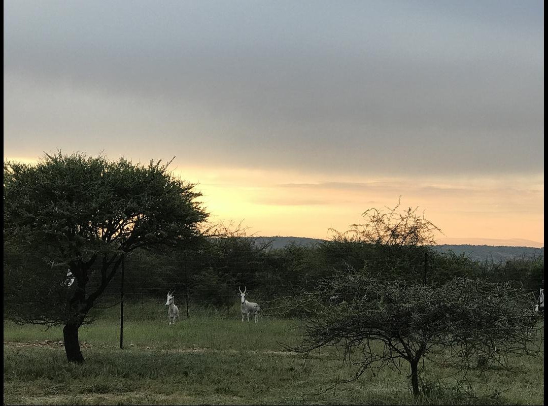 Unathi Game Lodge主图