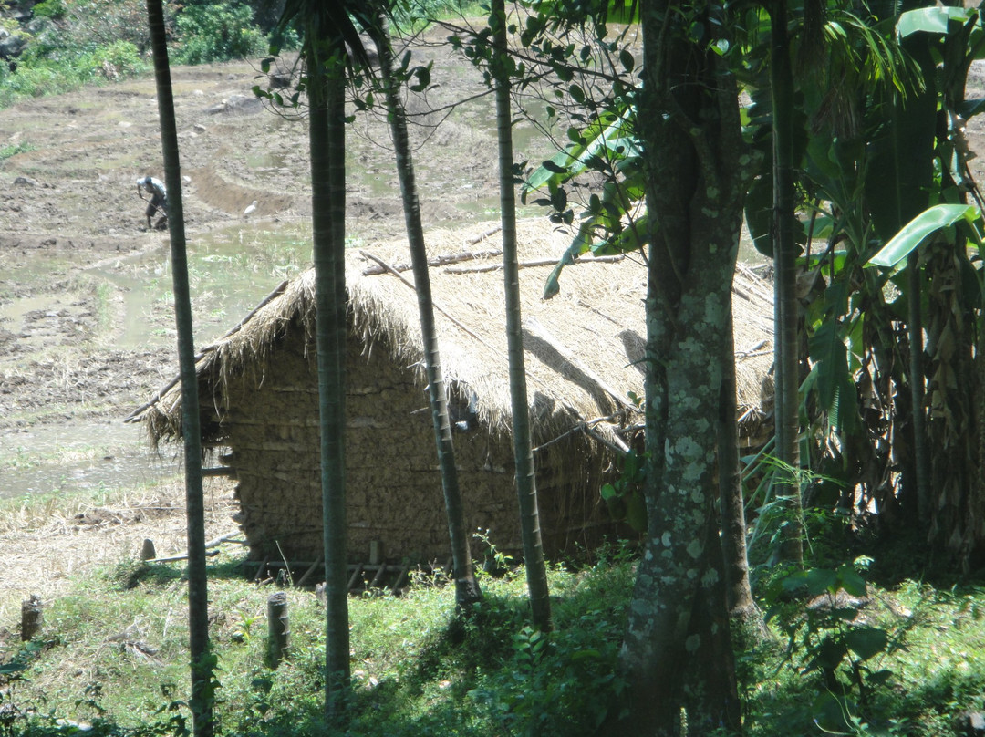 Sri Lanka Eco Trekking & Eco Tours-康提必去景点