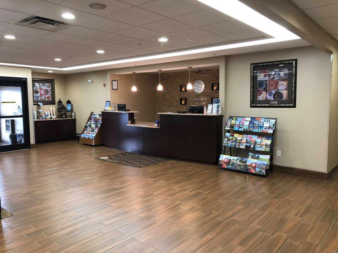 Comfort Inn & Suites Farmington - Victor主图