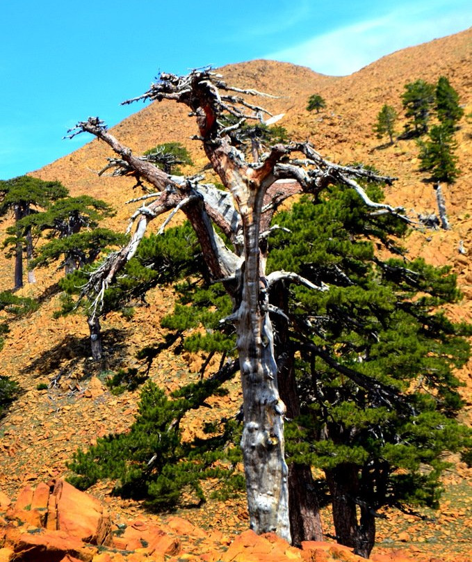 Travel on Turkey - Day Tours景点图片