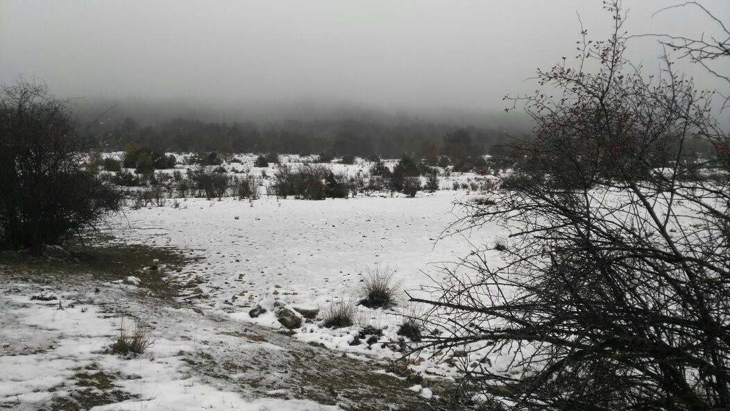 Casa Rural La Utrera主图