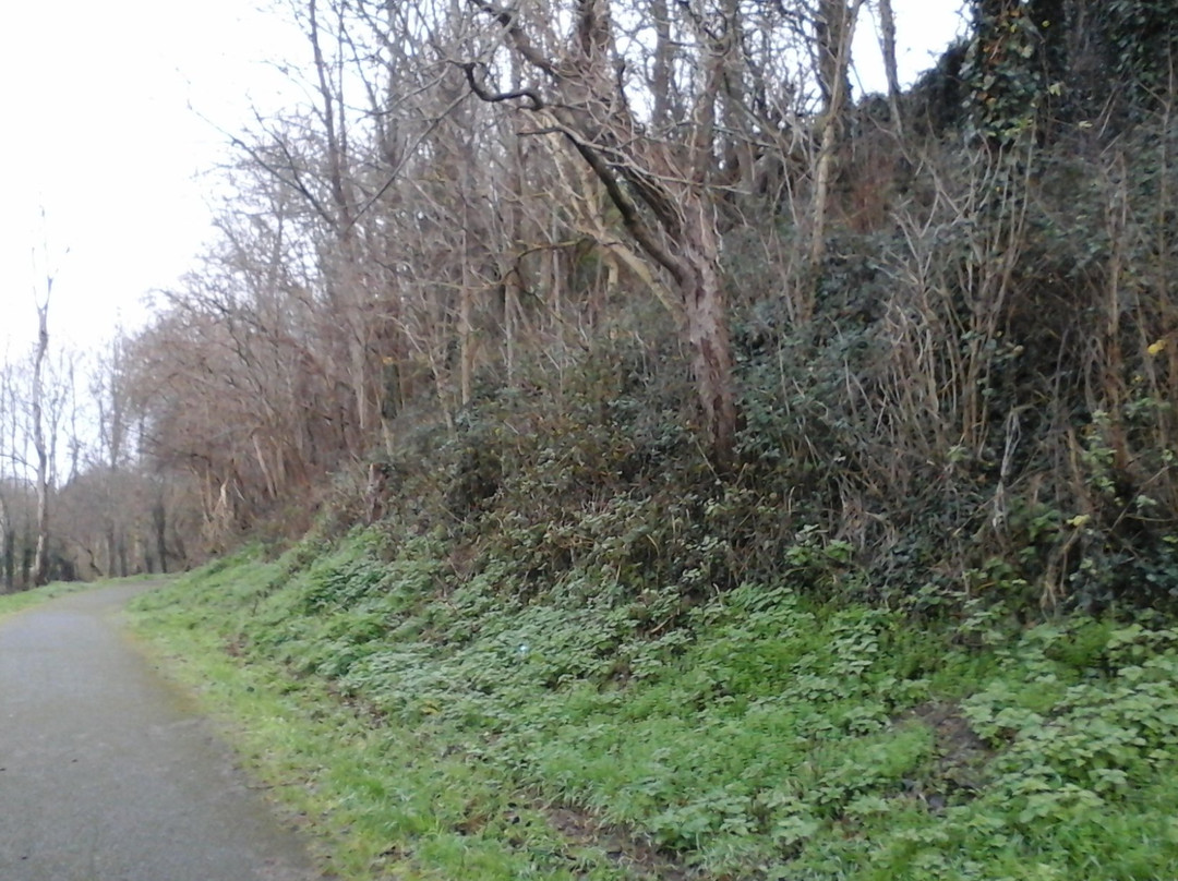 Tolka Valley Park景点图片