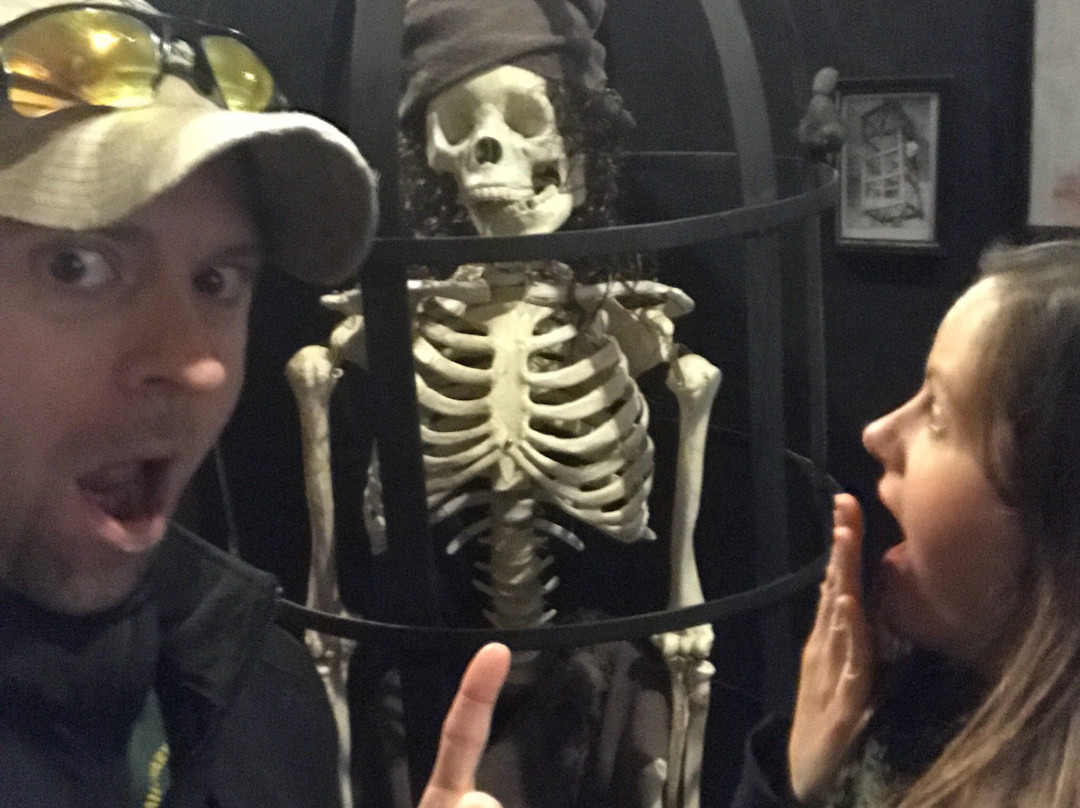 Curiosity Museum-奥尔顿塔必去景点