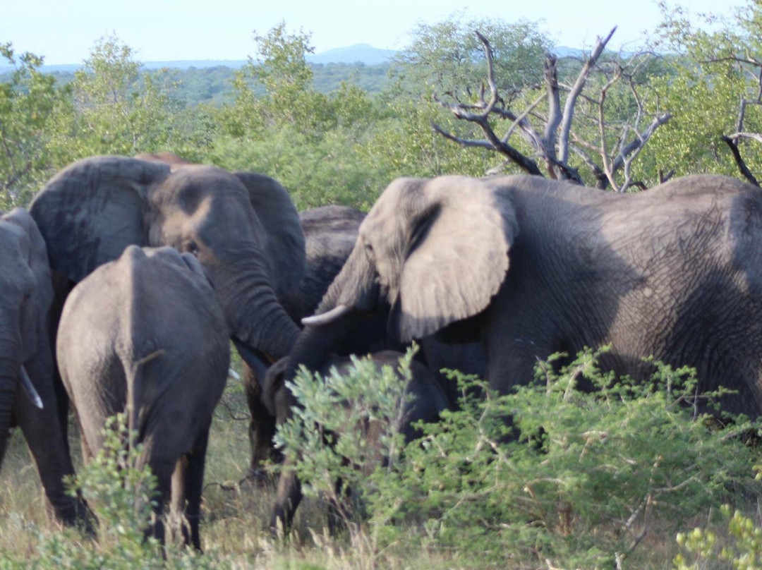 Siyafunda Wildlife & Conservation-霍德斯普鲁特必去景点