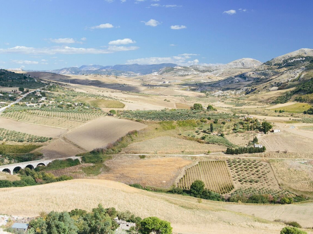 Carmela's Cucina Class-索伦托必去景点