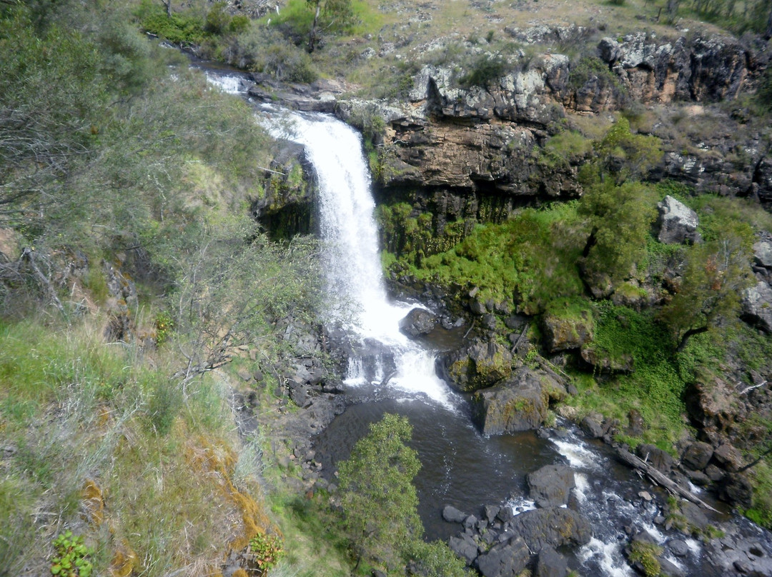 Corryong旅游攻略图片