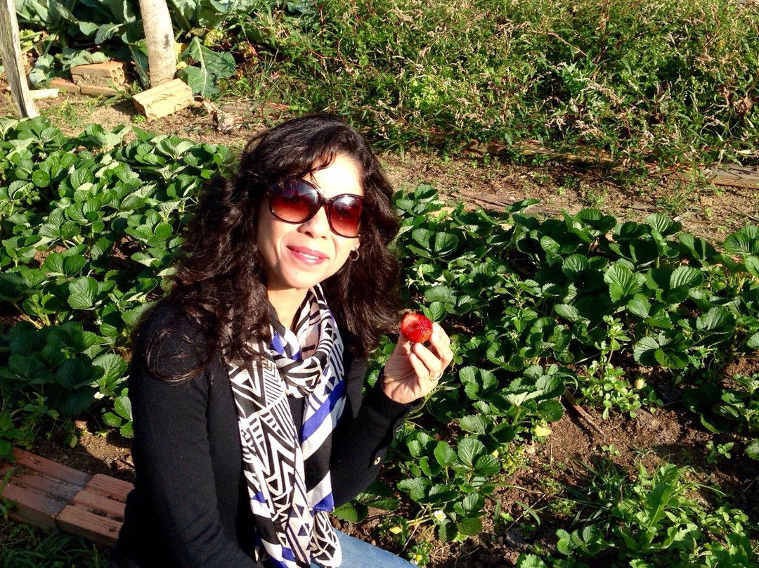 Pousada Encantos Da Serra主图