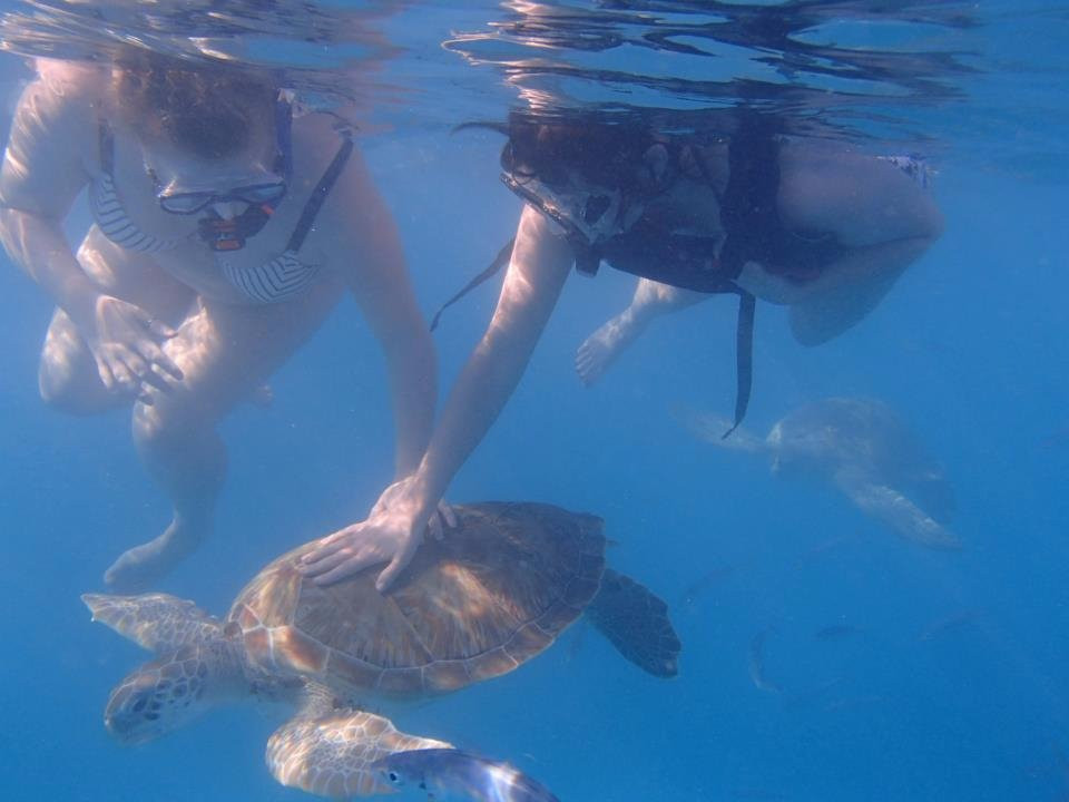 Barbados Snorkeling Tours by Hayden Browne-Holetown必去景点