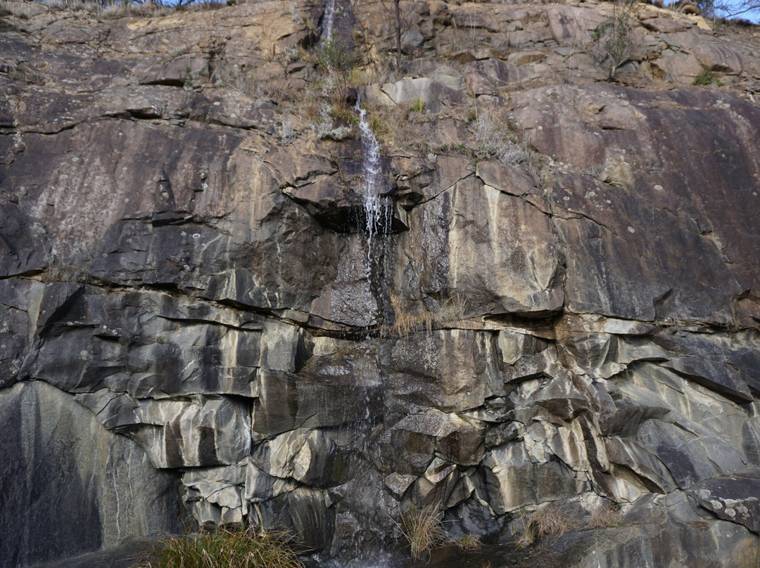 Tasmanian Bushland Garden-Buckland必去景点