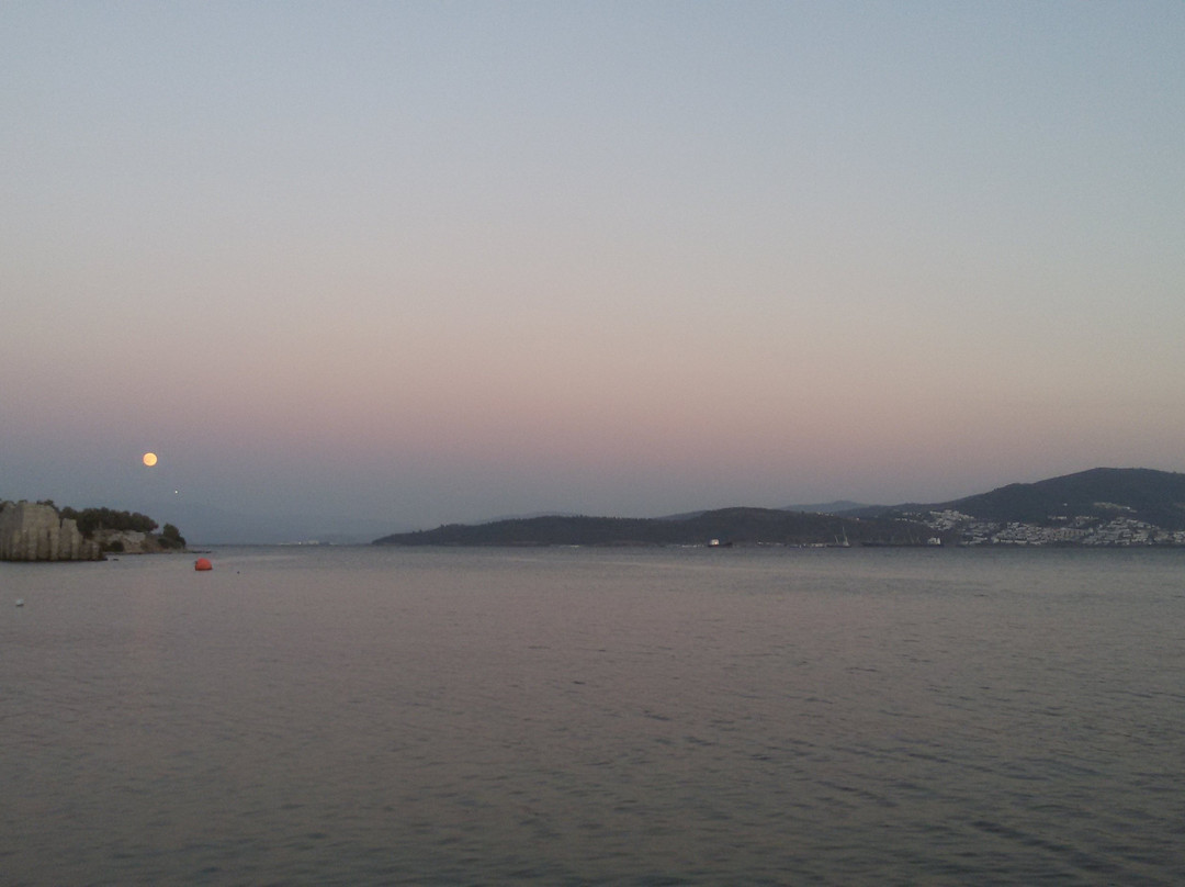 Port Iasos Marina景点图片