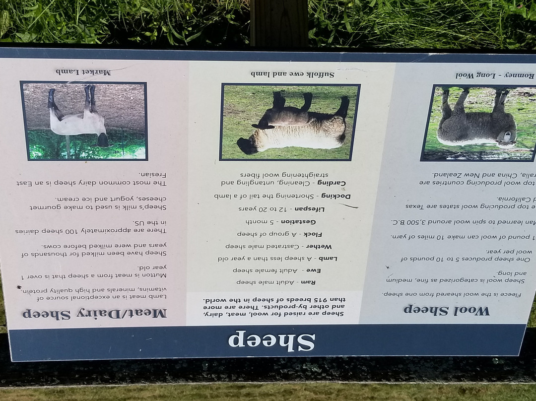 Kinder Farm Park-Millersville必去景点