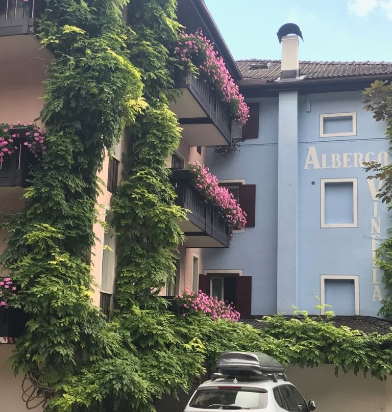 Hotel Vinella