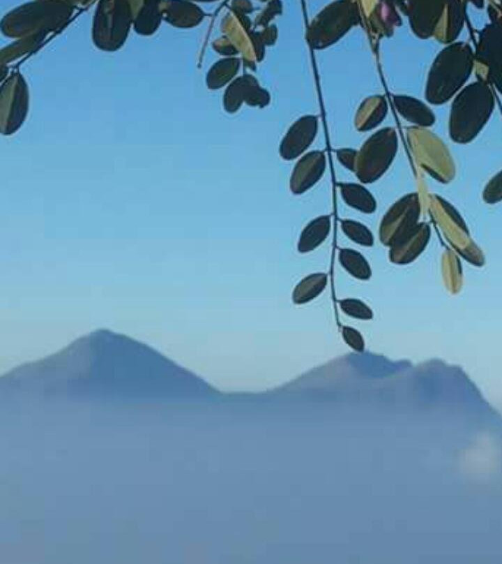 Kodaikanal Yoga Center景点图片