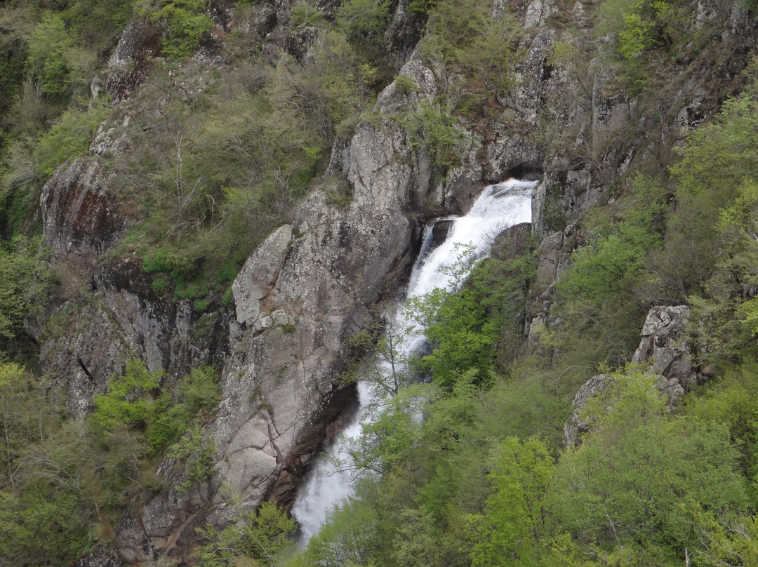 Lepidas Forest-Paranesti必去景点