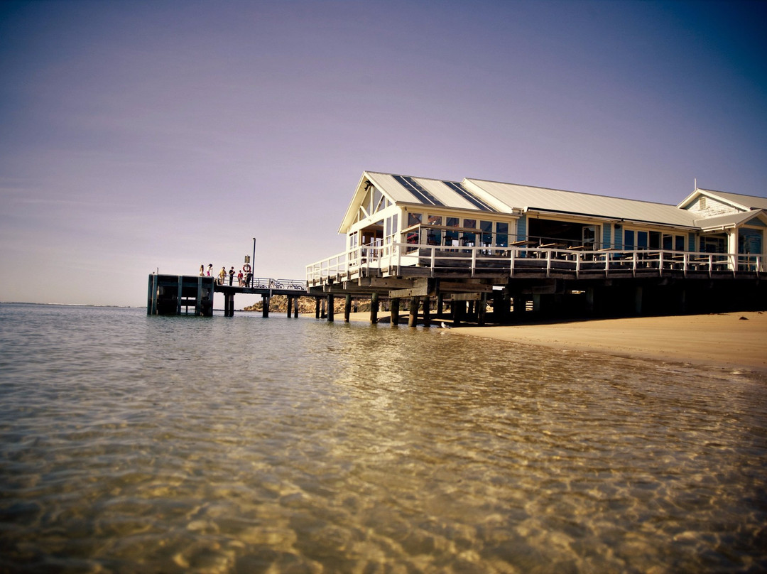 Redgum Roadtrips-Bellarine必去景点